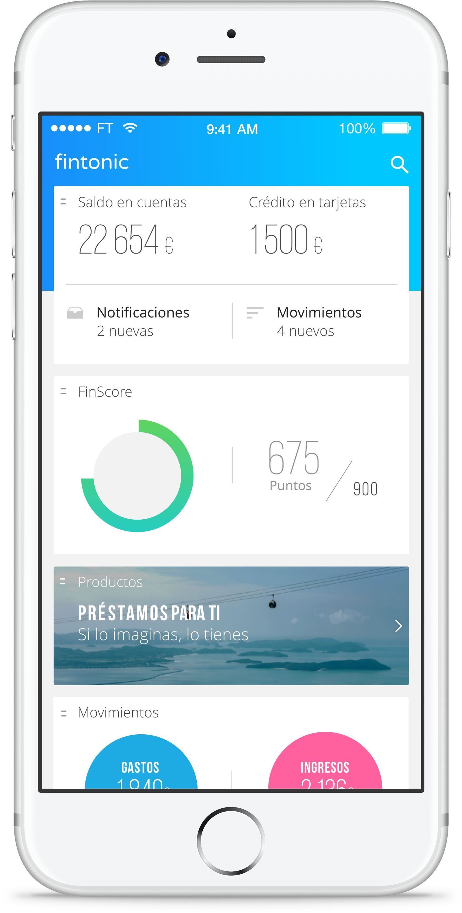 Vista de la situación financiera de un usuario.
