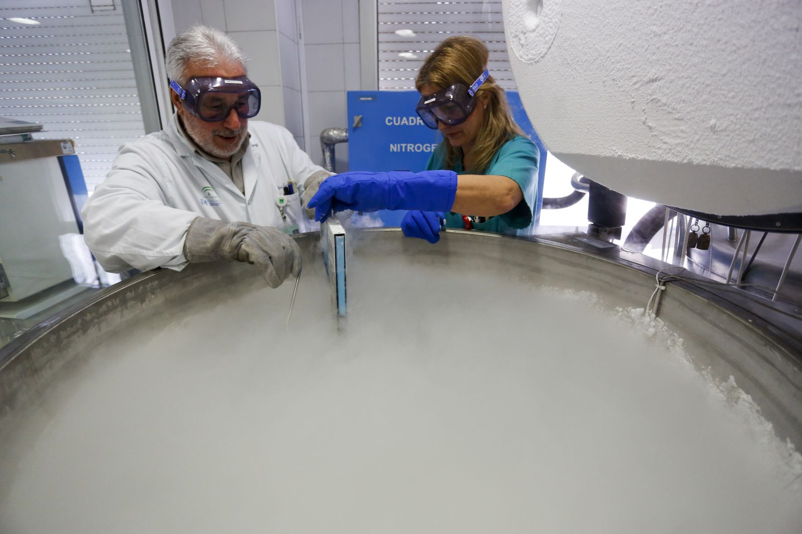 Tanques en los que se almacenan las donaciones.