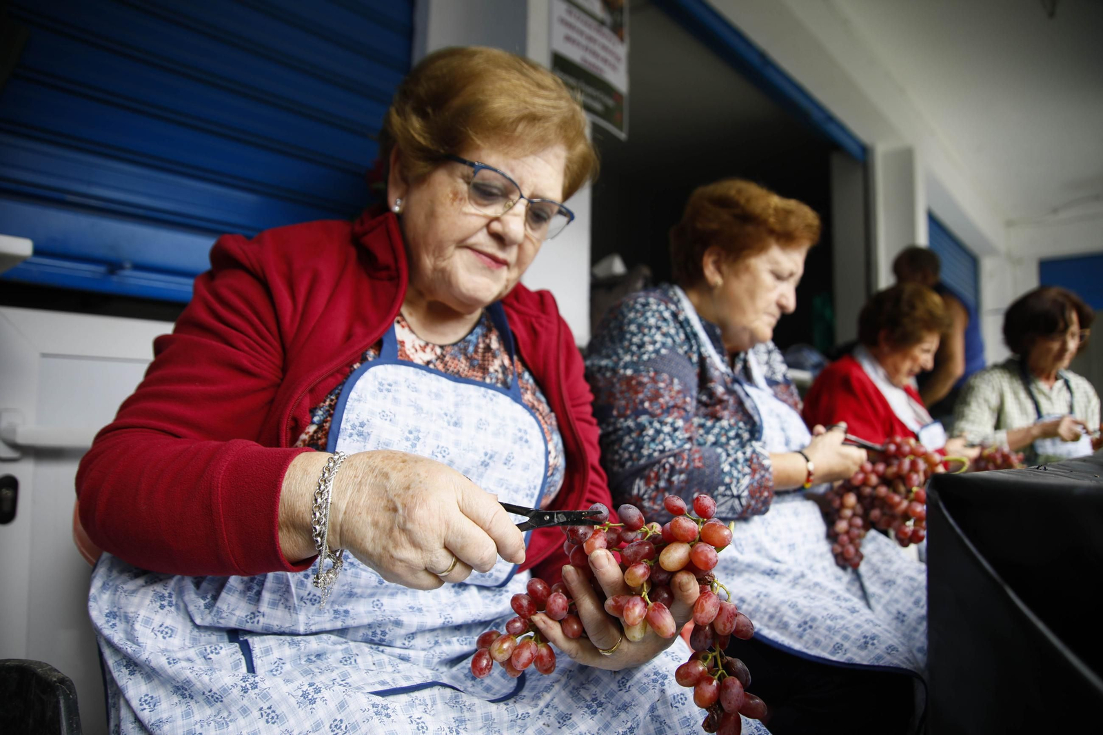 La tradicional faena de la uva de Canjayar, en imágenes