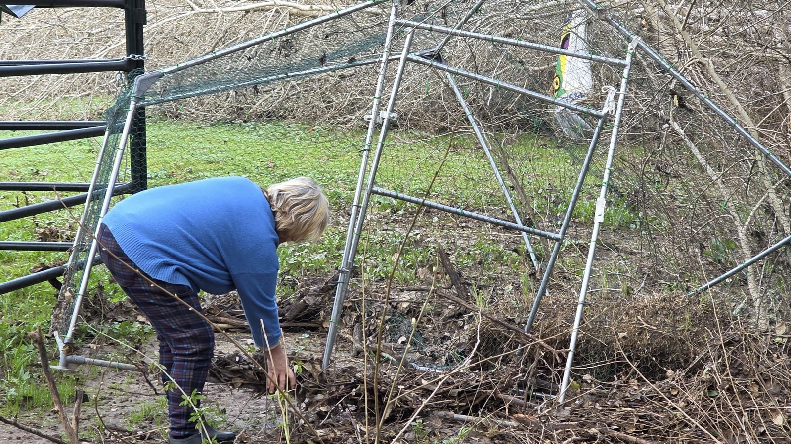 Cercas caídas por las intensas borrascas en Huelva.
