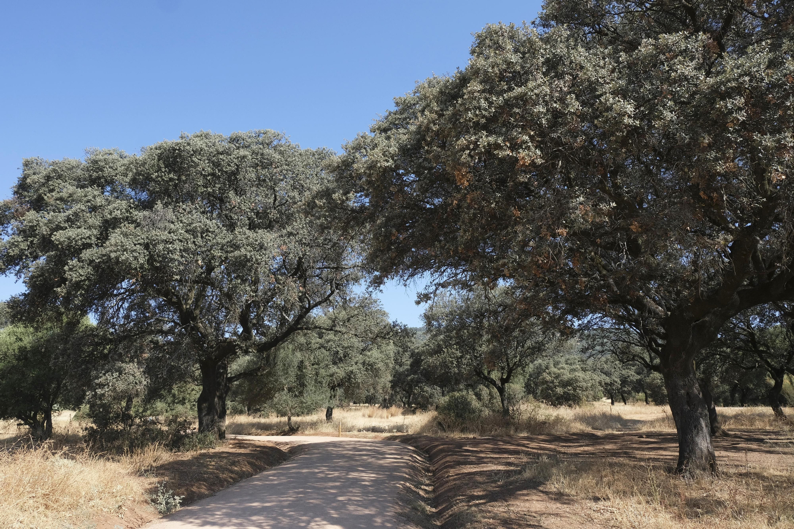 Así luce El Patriarca tras las obras para convertirlo en un parque periurbano