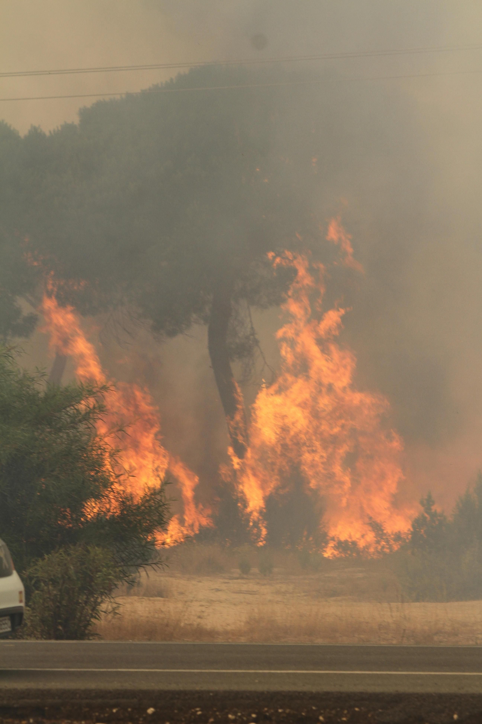 Las imágenes del incendio en Moguer y Mazagón