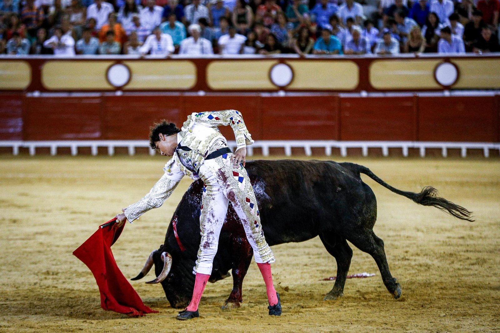 Imágenes de la corrida de toros en El Puerto: Manzanares, Roca Rey y Pablo Aguado