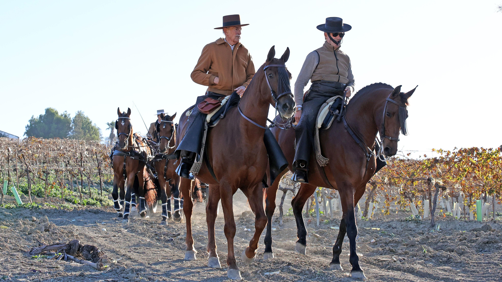 II Ruta Viñas de Jerez