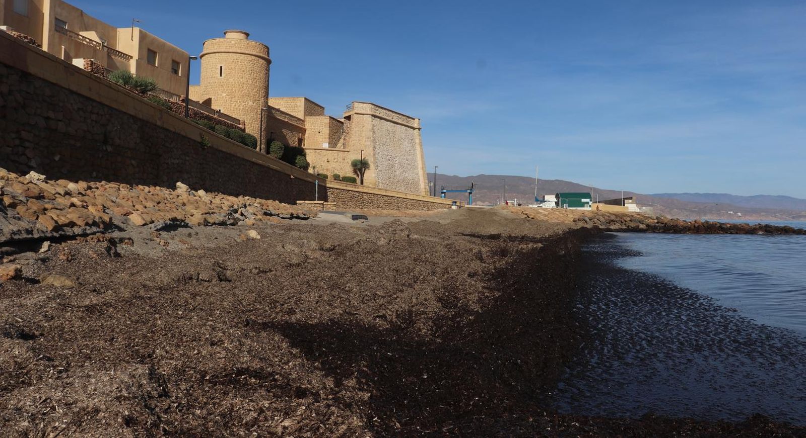 Proliferación de algas en la playa tras el Castillo de Santa Ana de Roquetas de Mar