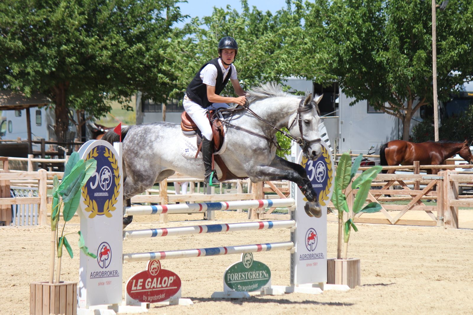 Momento del concurso celebrado en Antequera.