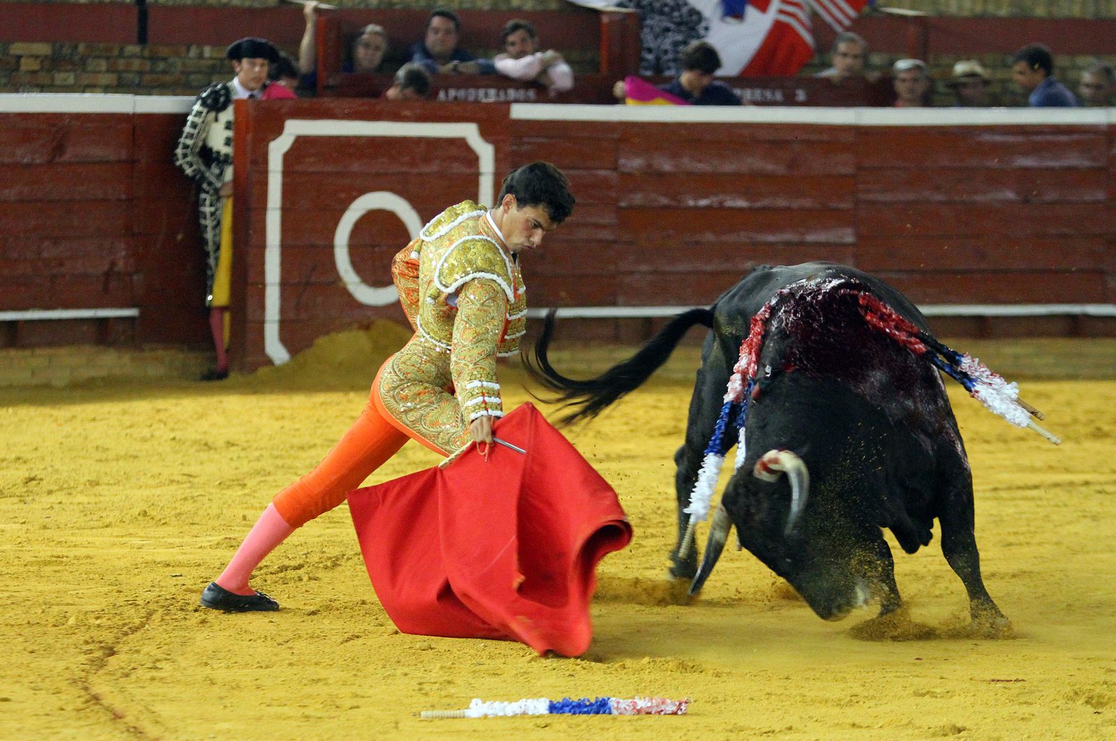 Imágenes de la Novillada de Rafael Serna, Emilio Silvera y Rodrigo Molina.