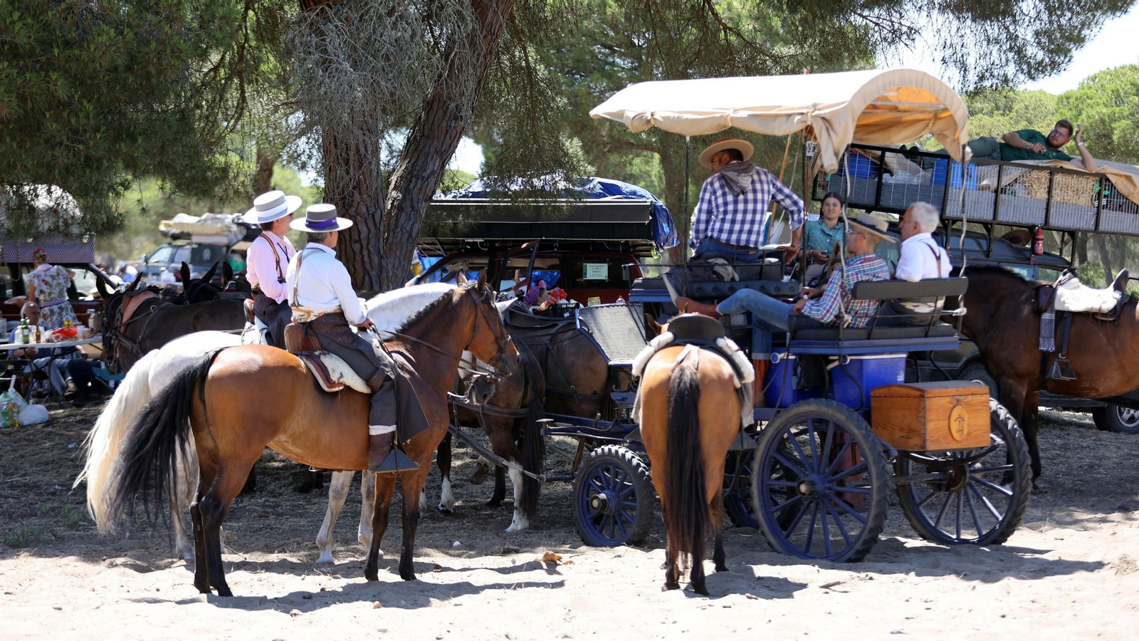 Jueves de camino de la Hdad de Jerez por el Coto Doñana
