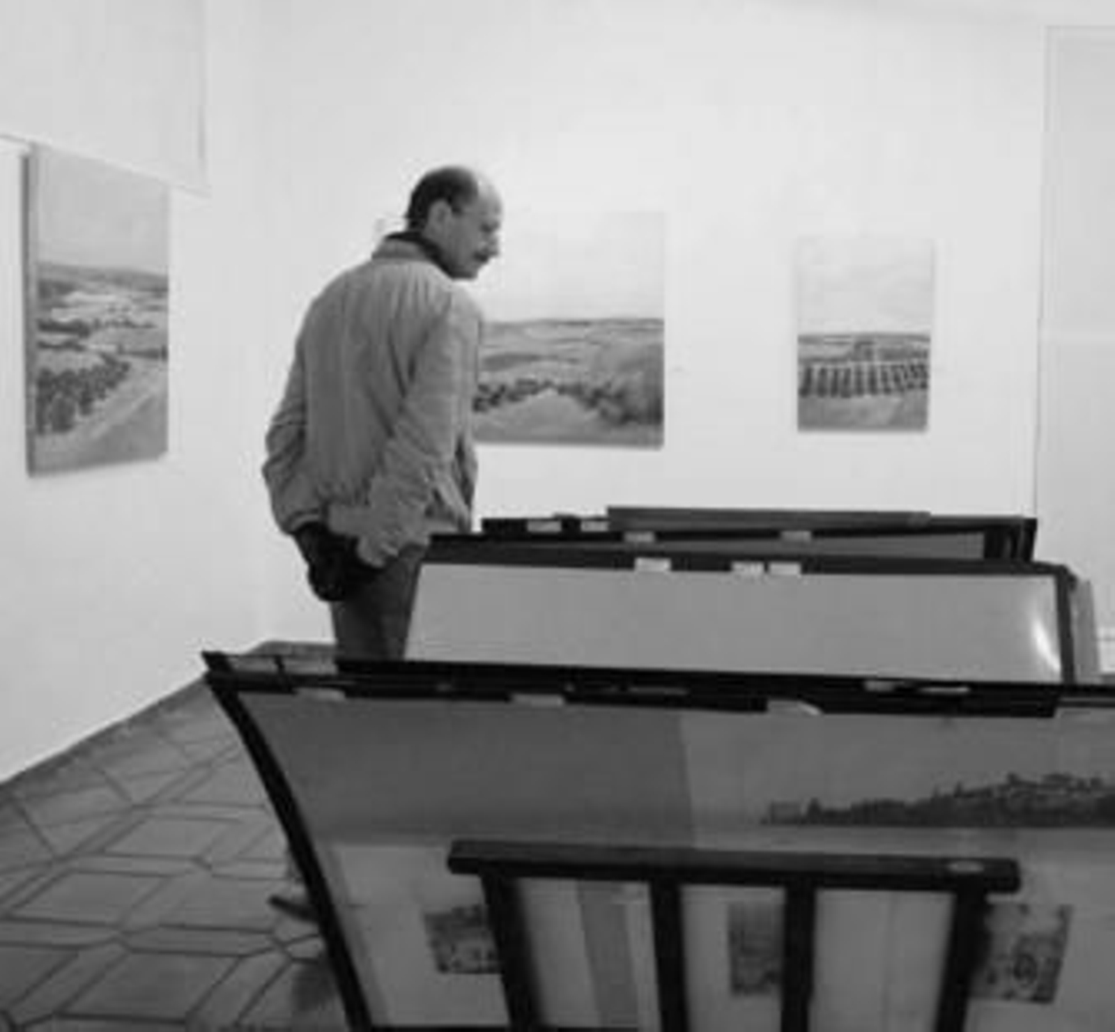 La galería Cdi Hiaya acoge la exposición 'Entre olivos' de Julio Sánchez del Olmo.