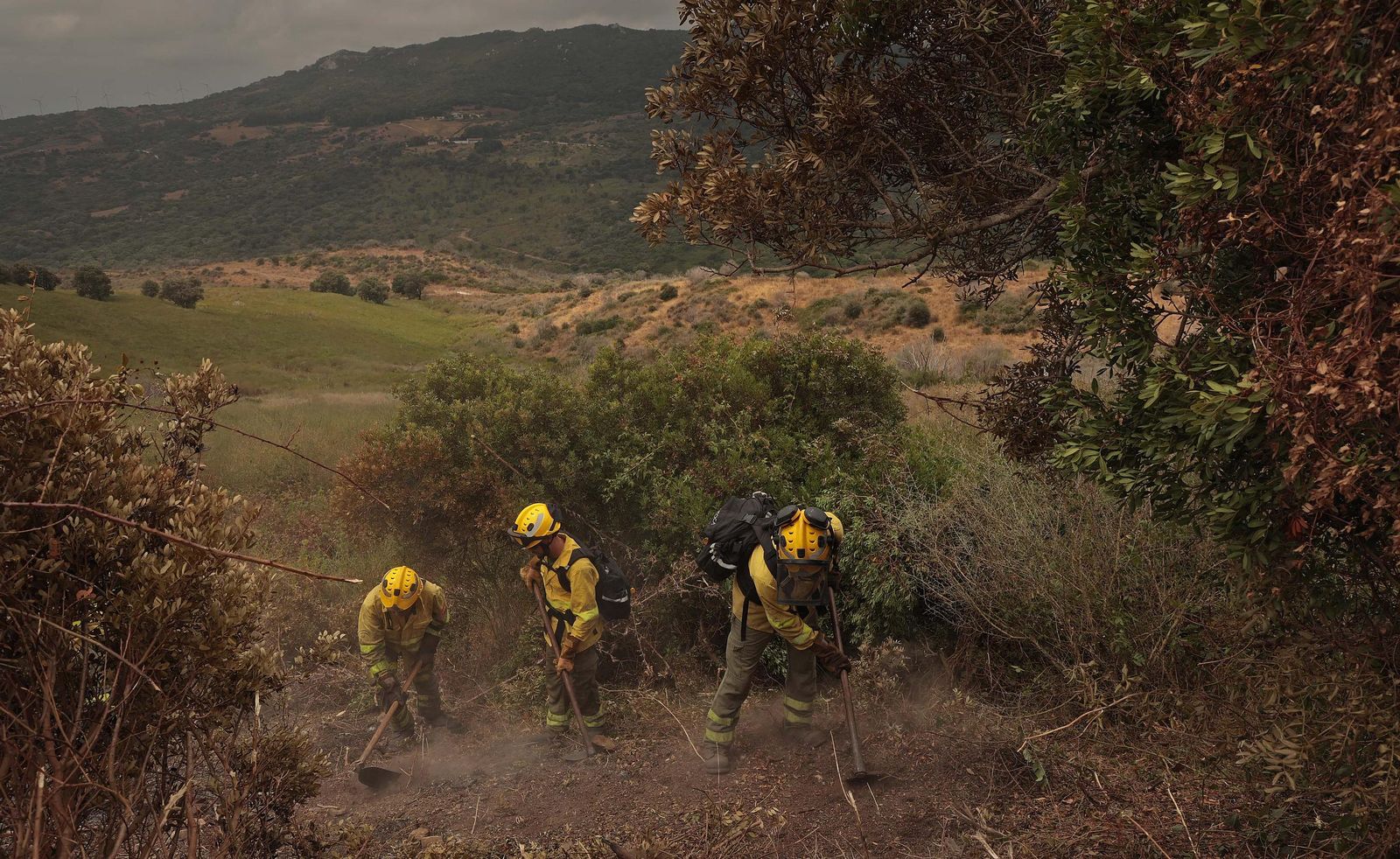 Fotos de los efectos del incendio en el Puerto del Laurel en Algeciras