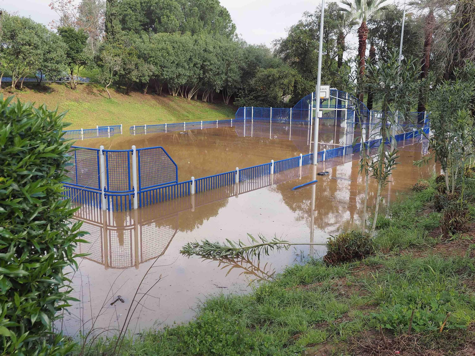 Un parque inundado este martes en Gibraleón por la crecida del Odiel