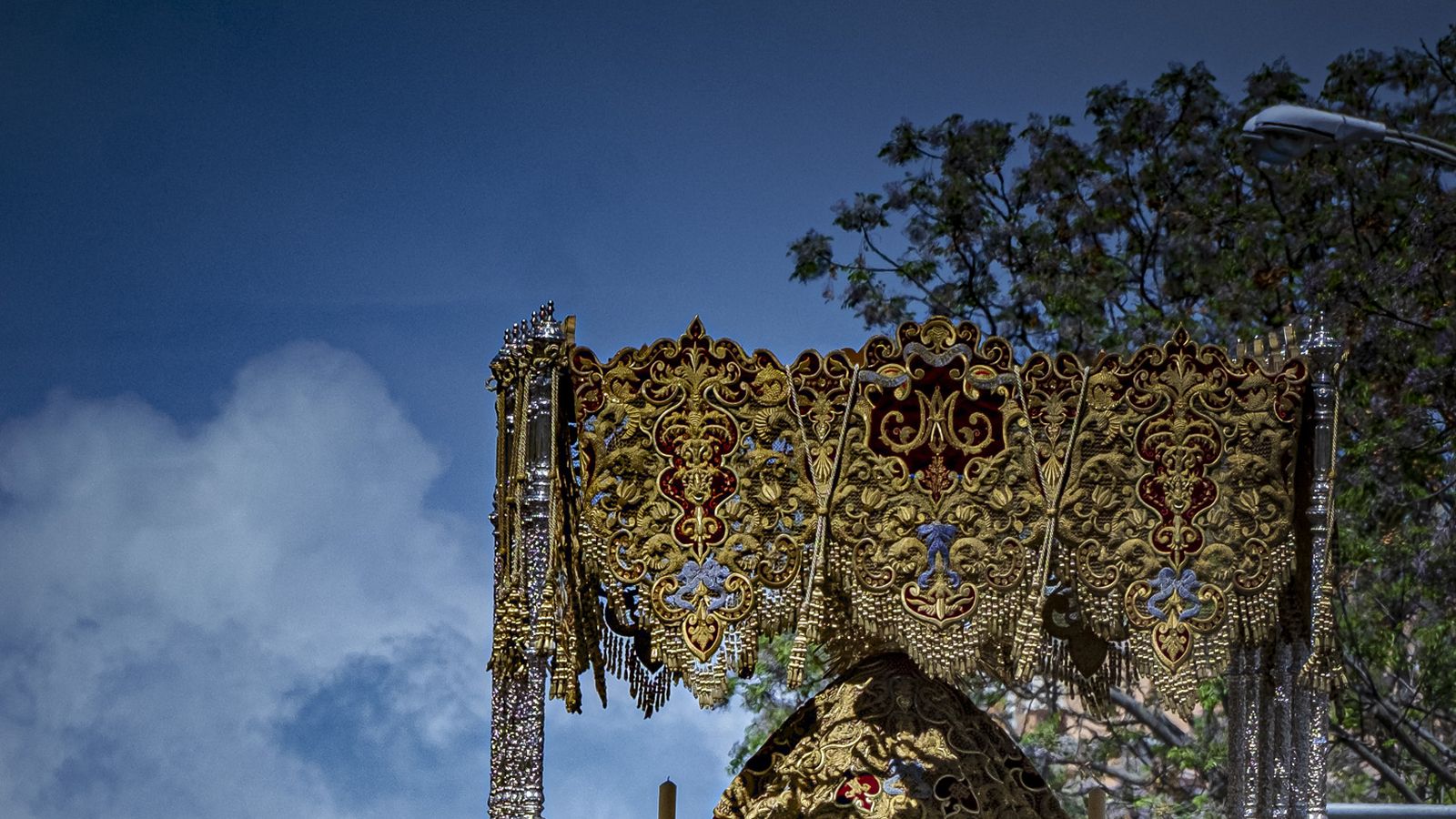 Imágenes de la salida de la Borriquita en la Semana Santa de Cádiz 2025