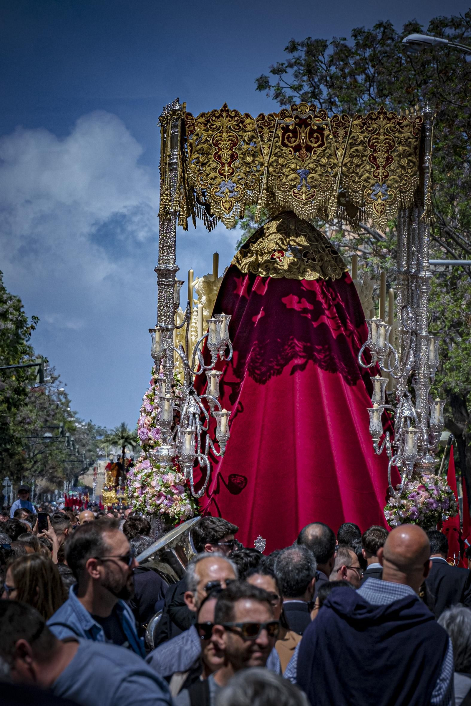 Imágenes de la salida de la Borriquita en la Semana Santa de Cádiz 2025