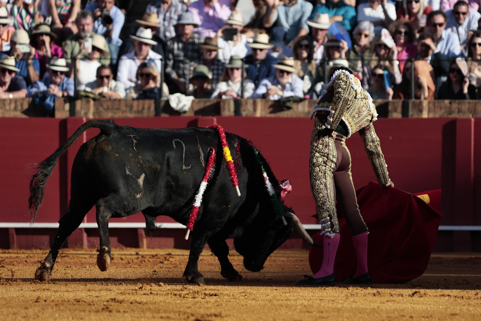 Las fotos del festejo