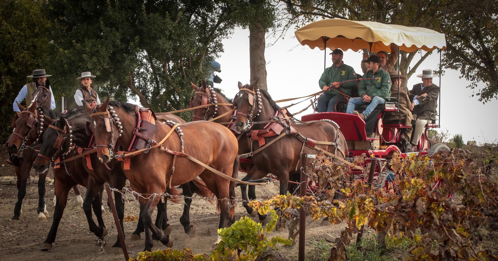 Búscate en la III Ruta Viñas de Jerez de Enganches