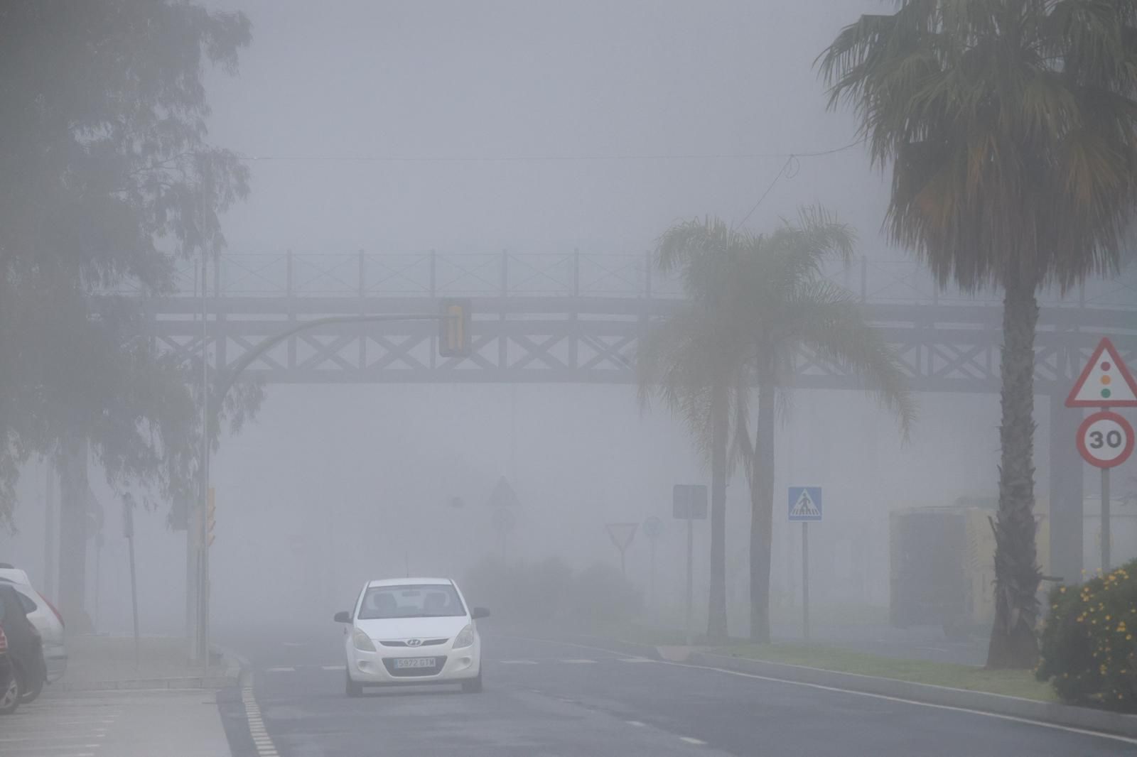 WhatsApp Image 2026-01-14 at 10.33.28