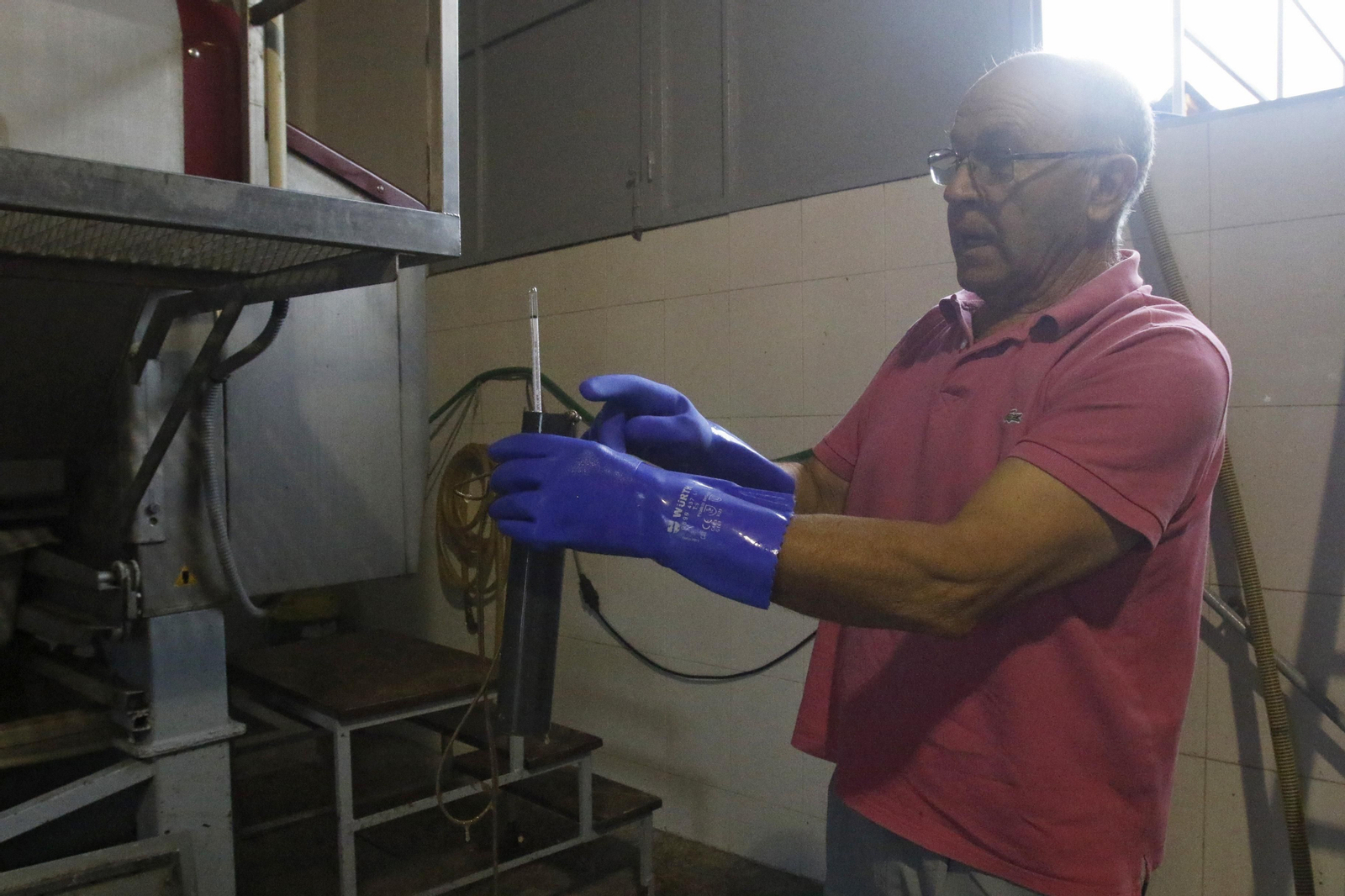 La vendimia en Montilla-Moriles, en fotografías