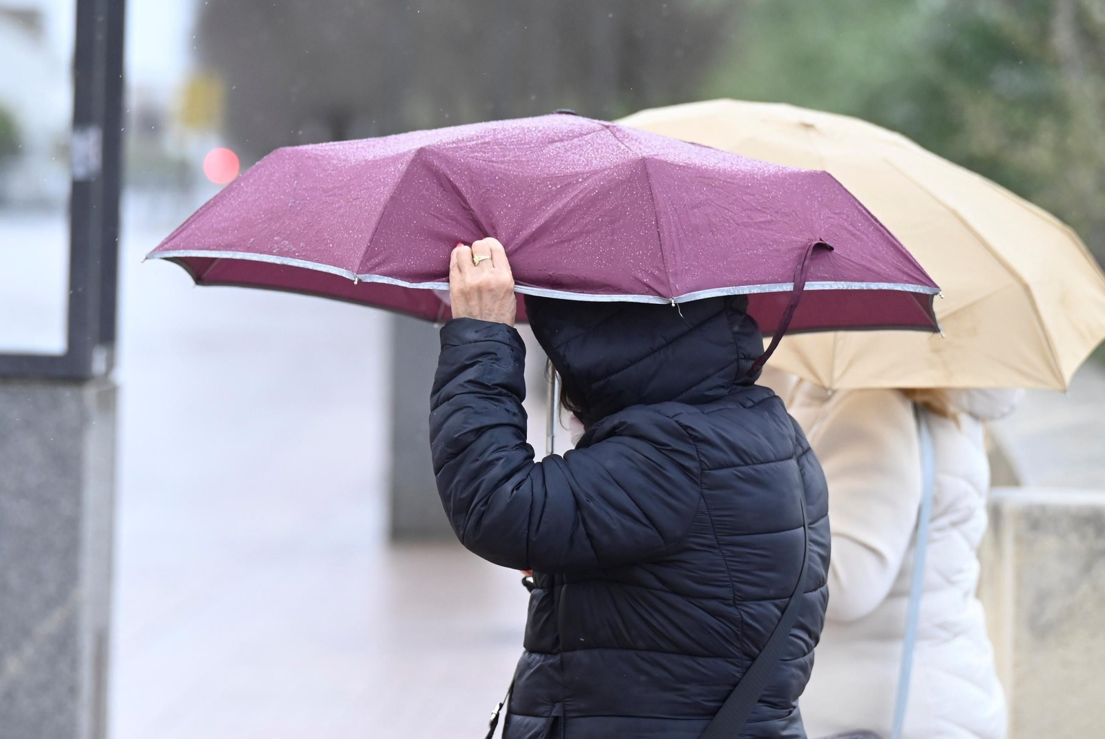 El paso por la borrasca Konrad por Córdoba, en imágenes