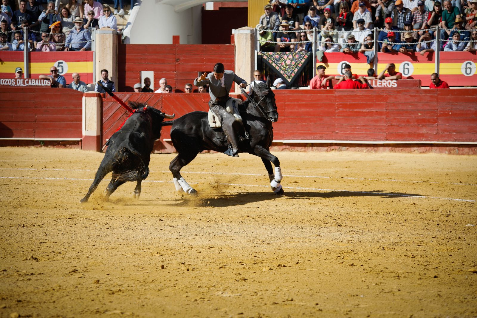 Imágenes del festival mixto lucha contra el cáncer