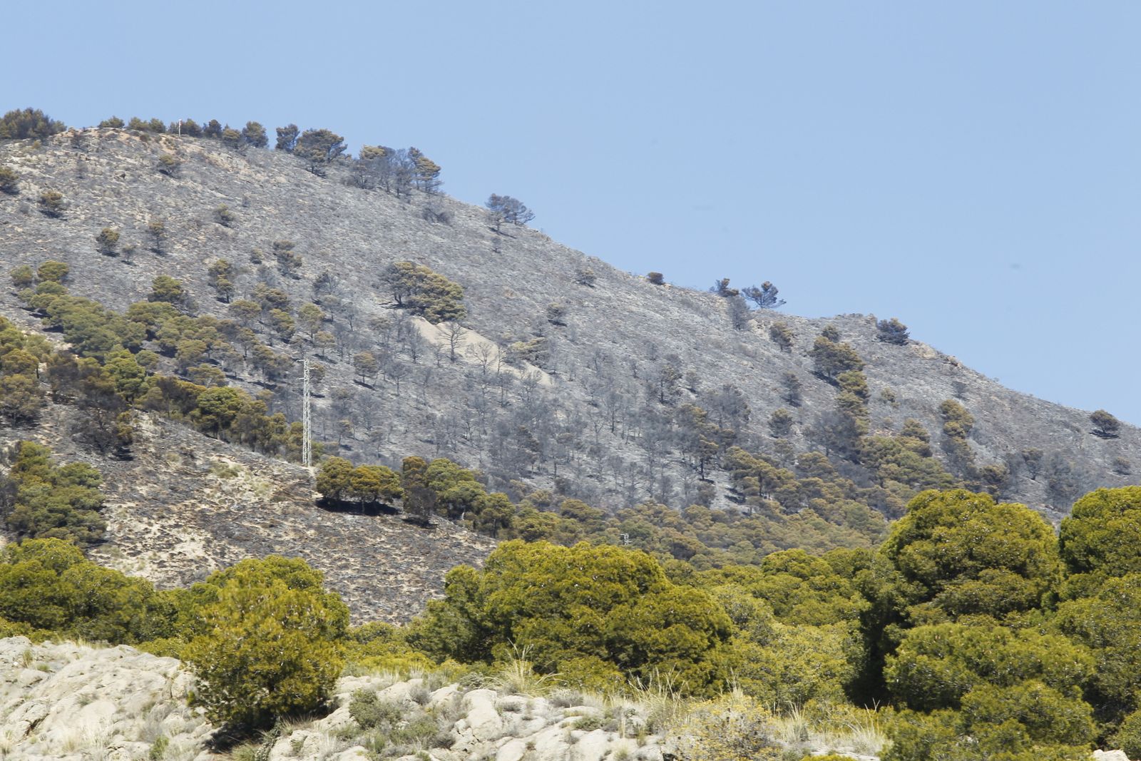 Fotogalería incendio forestal de Castala, Berja y Dalías.