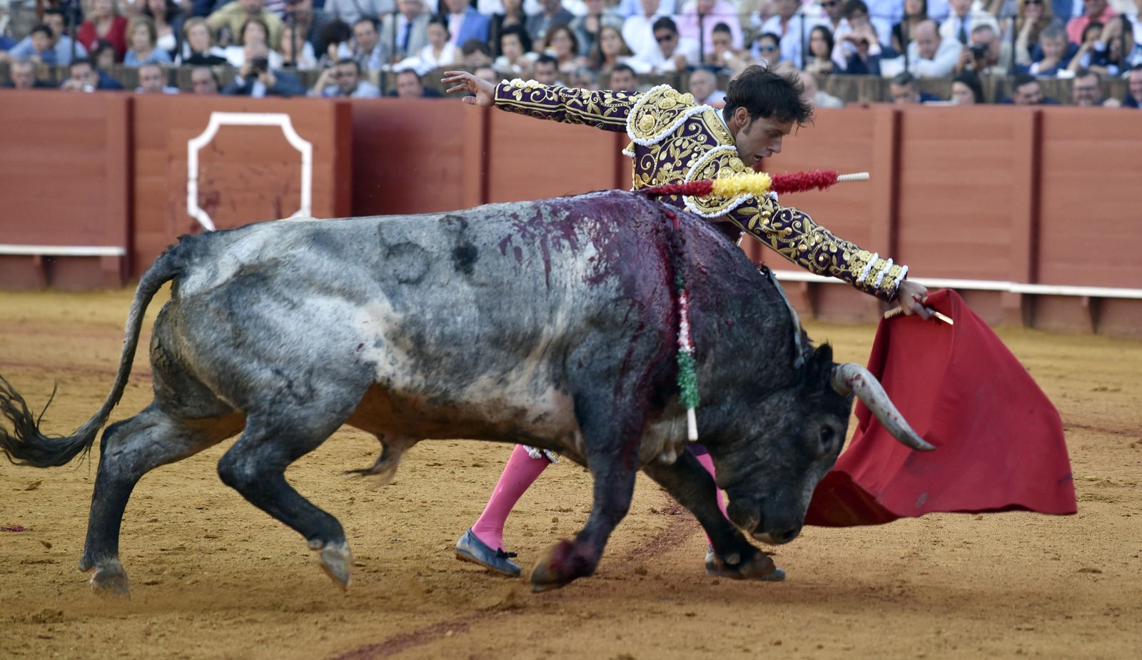 La 14ª de abono en la Real Maestranza de Sevilla, en imágenes