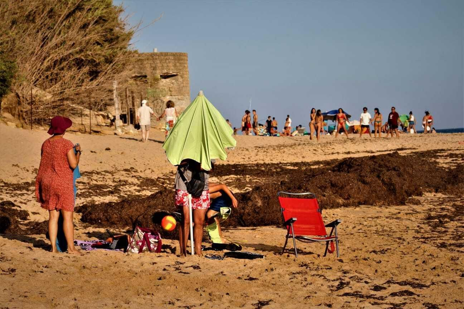 La playa de Los Caños de Meca, invadida por las algas