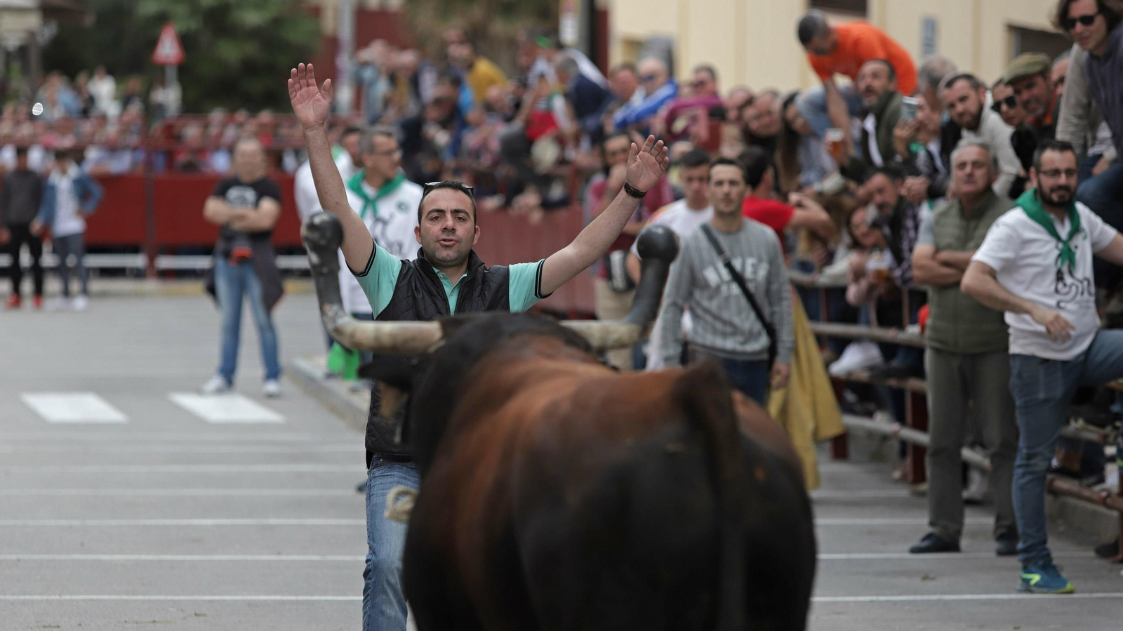 Imágenes del Toro Embolao de Los Barrios