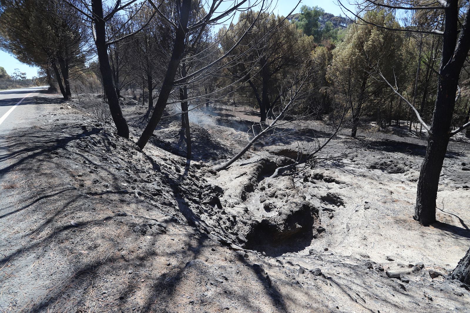 Imágenes de la devastación que deja a su paso el incendio de Almonaster la real.