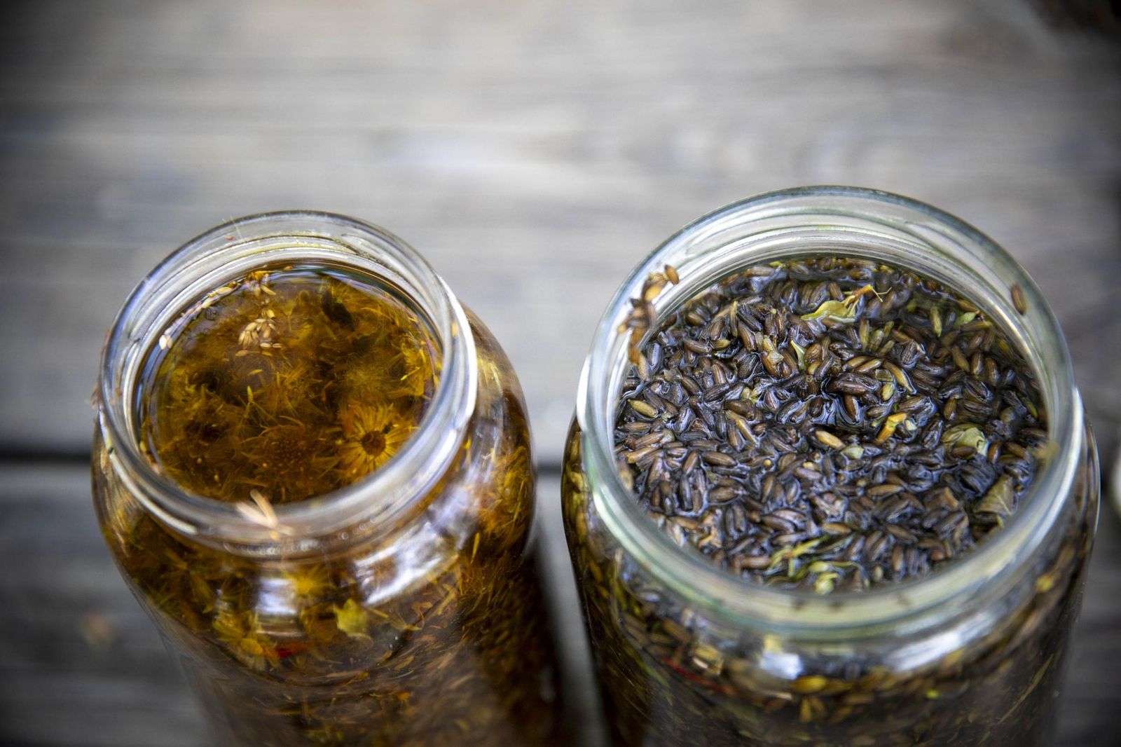 El jardin de lavandas en Benecid