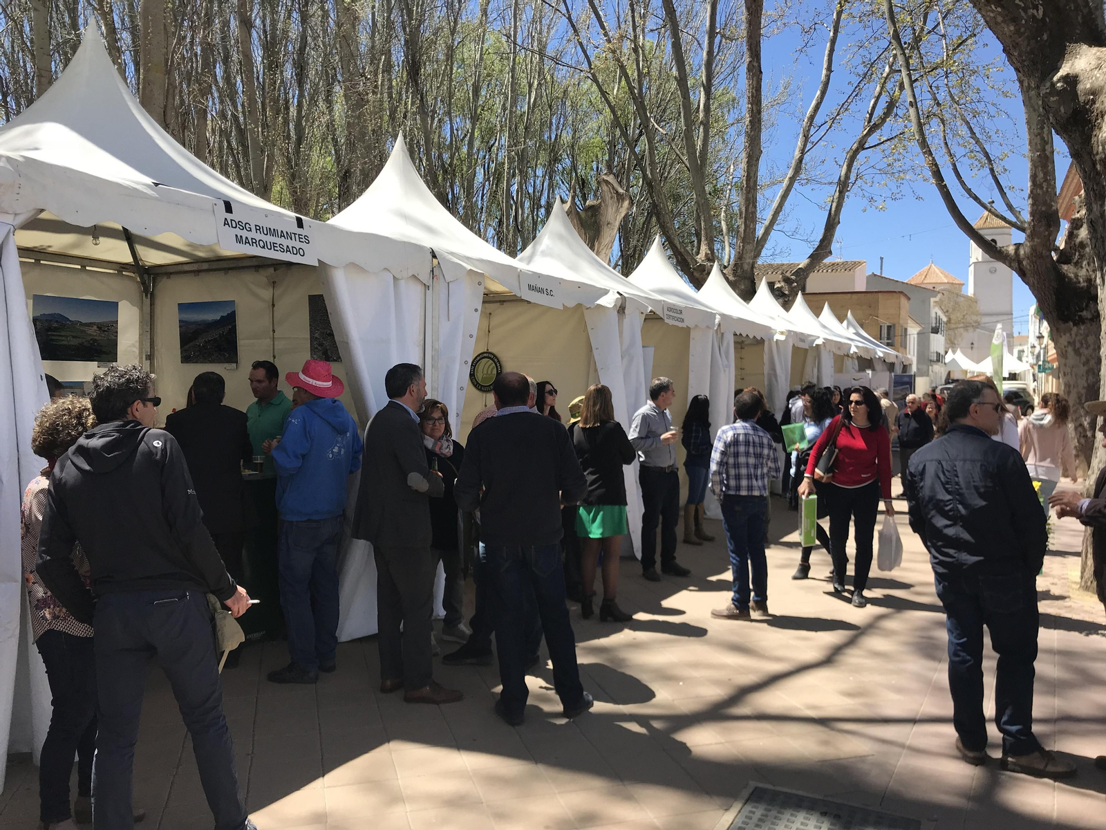 Imágenes de Terracultura 2019, en Chirivel