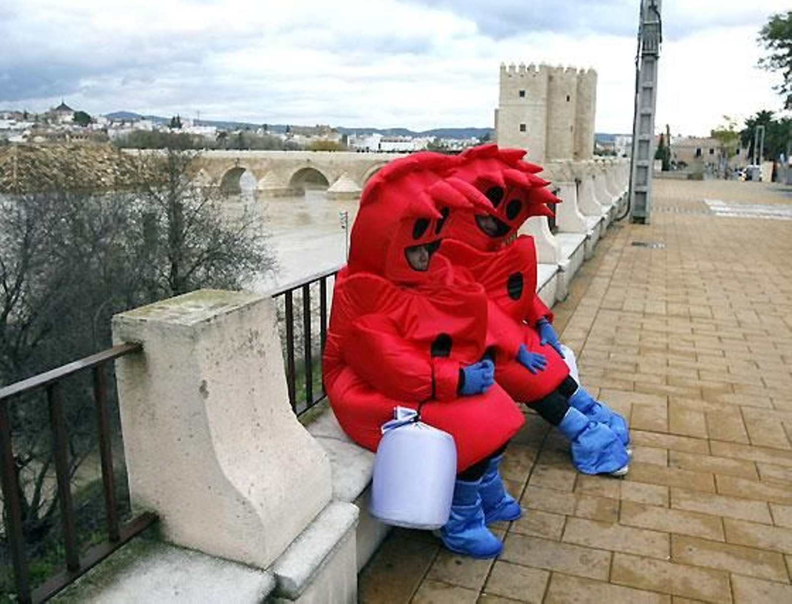 Foto: José Martínez