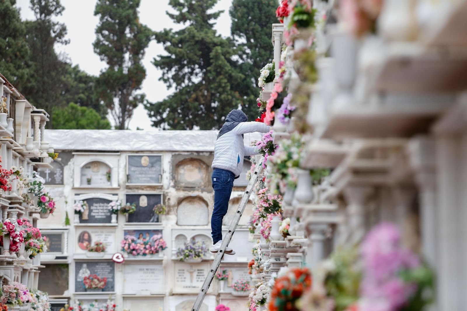 Fotos de los preparativos en el cementerio de La Línea por el Día de Todos los Santos