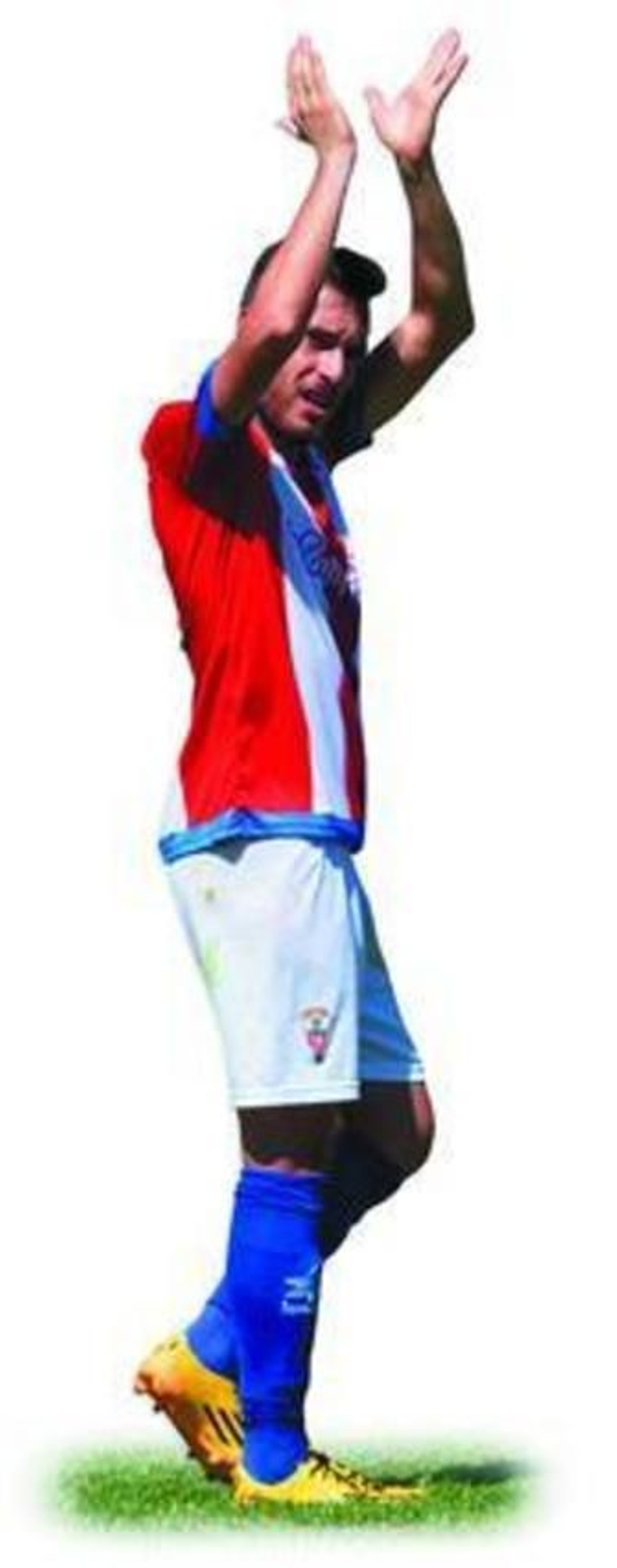 David Camps, depredador nacional