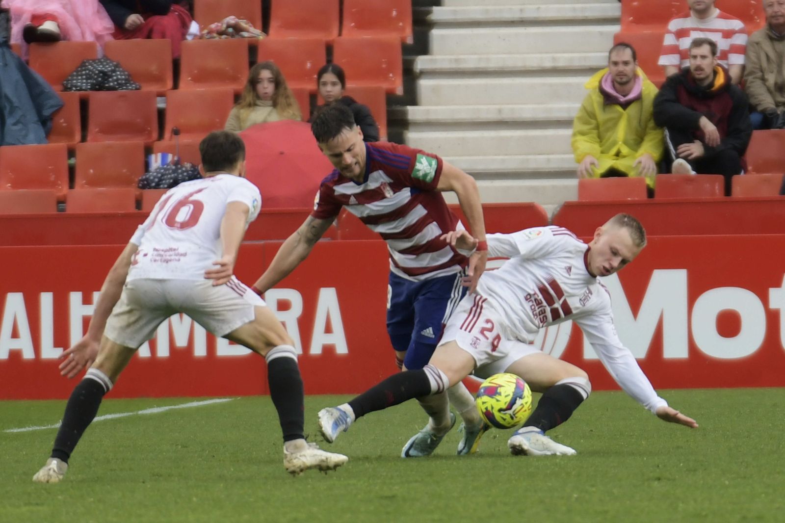 Petrovic ya no estará tan sólo en el eje de la medular.