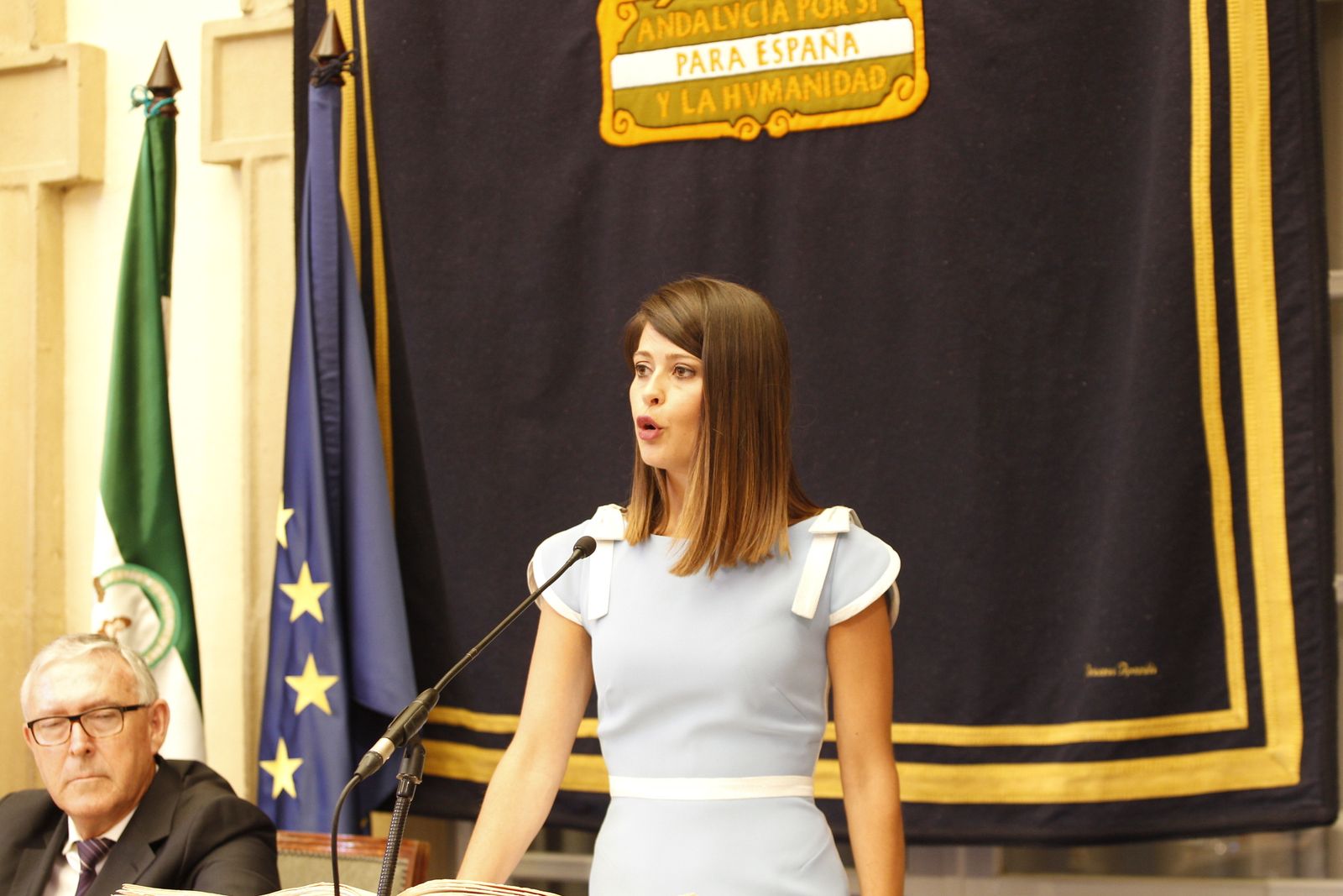 Pleno investidura Presidente Diputación de Almería. Javier Aureliano García