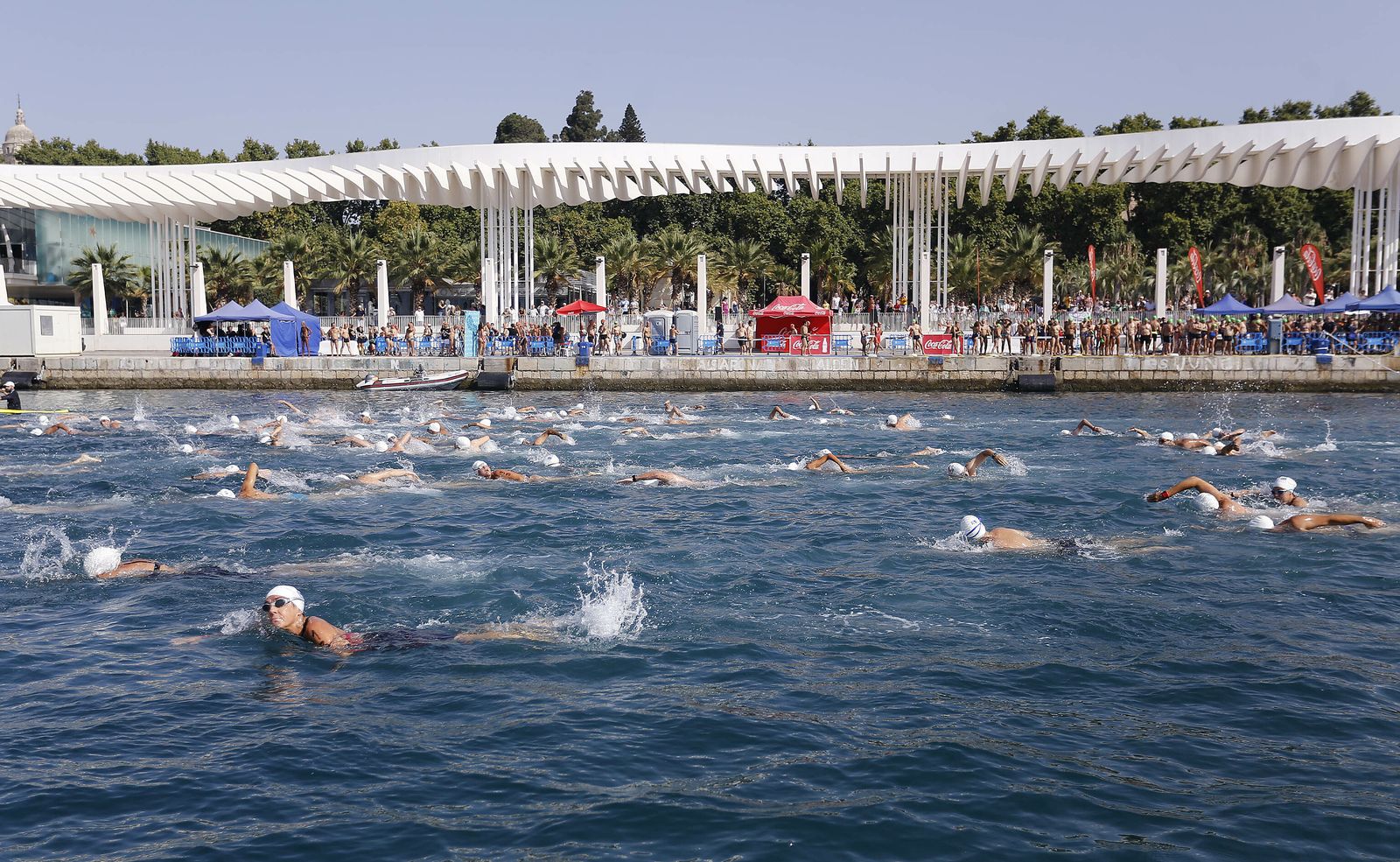 Fotos de la 60ª Travesía a Nado del Puerto de Málaga