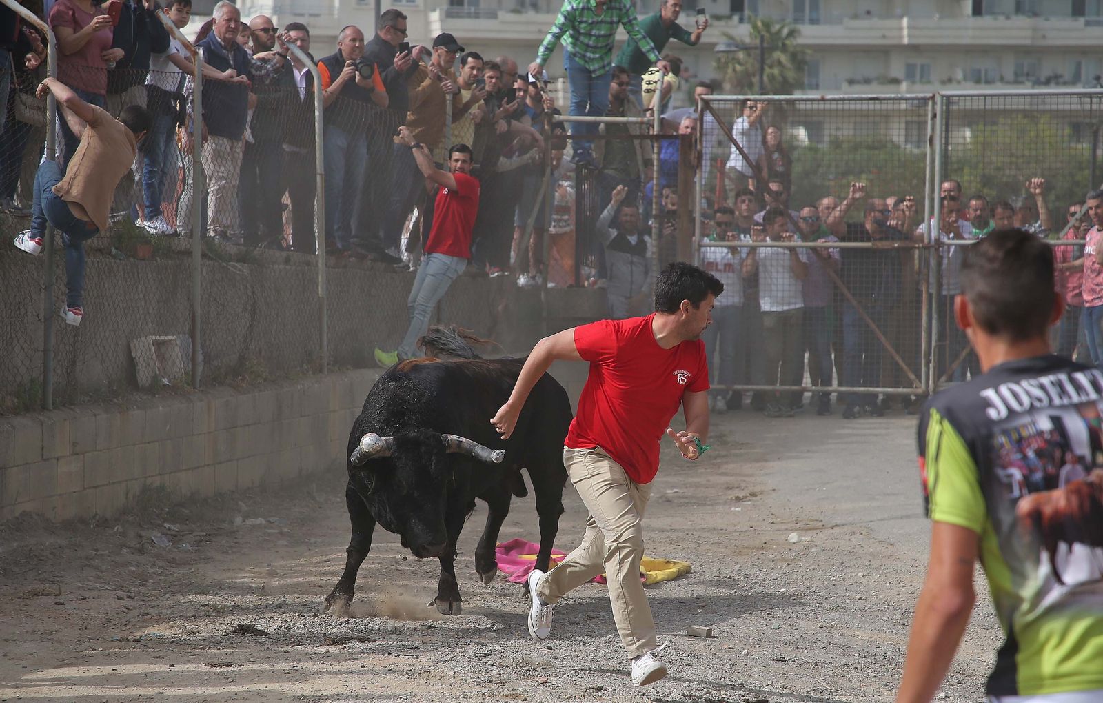 Fotos del Toro Embolao en Los Barrios