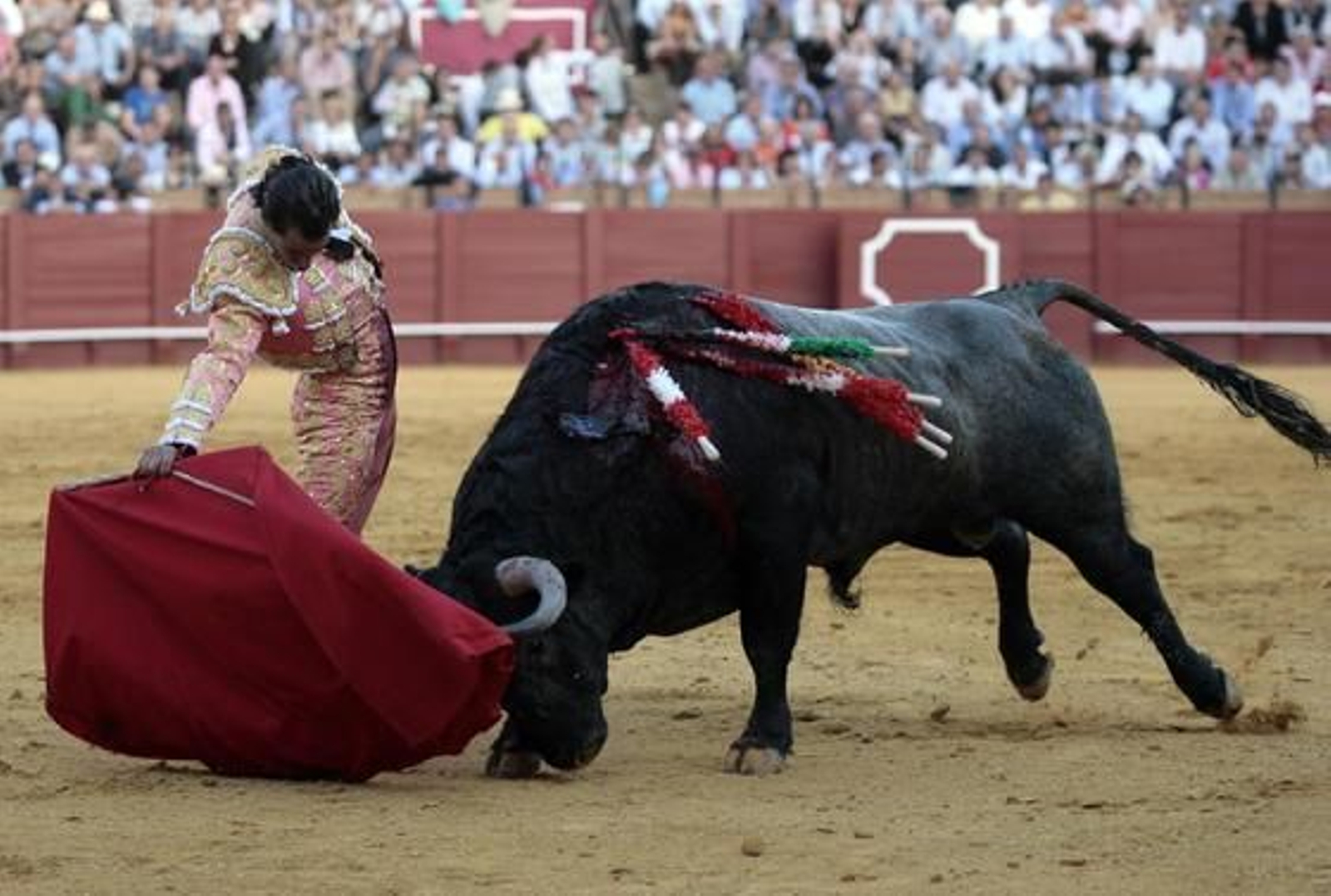 Foto: Juan Carlos Muñoz