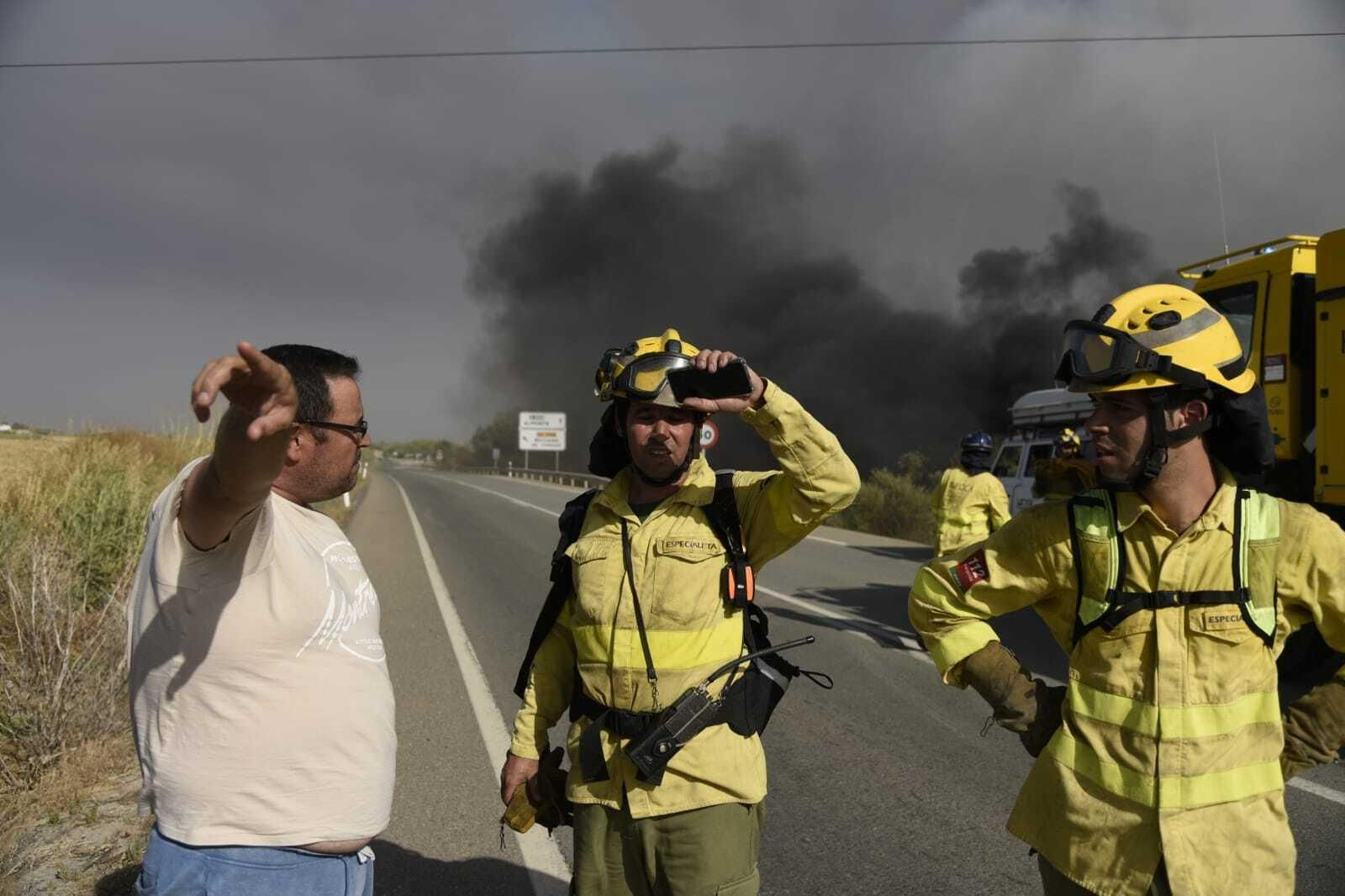 Imágenes del incendio forestal de Bonares