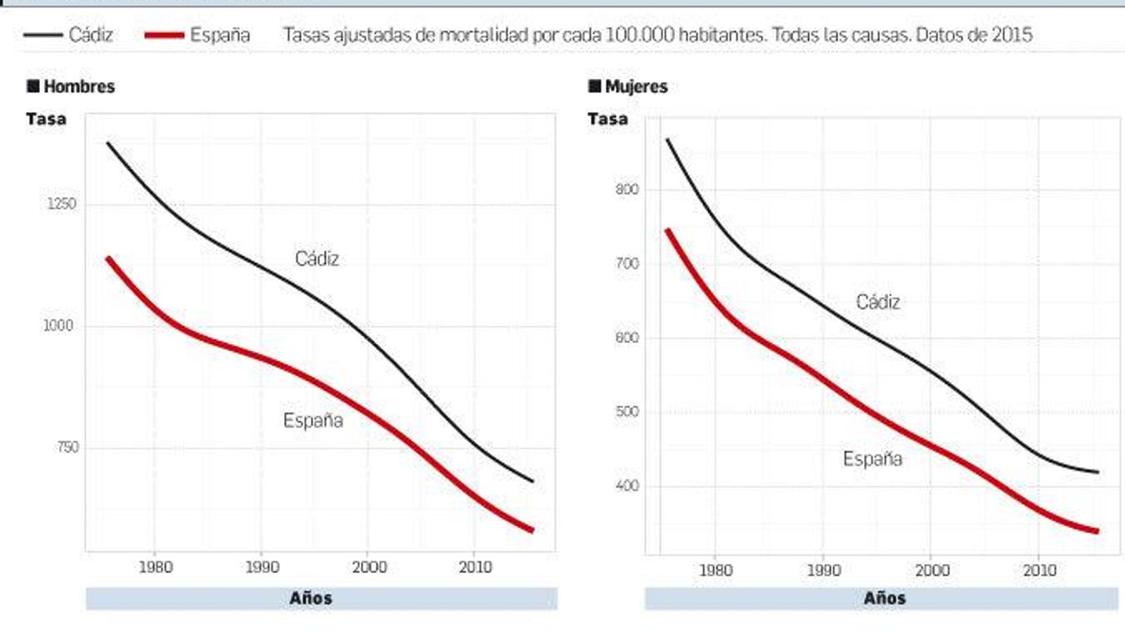 Evolución desde 1975