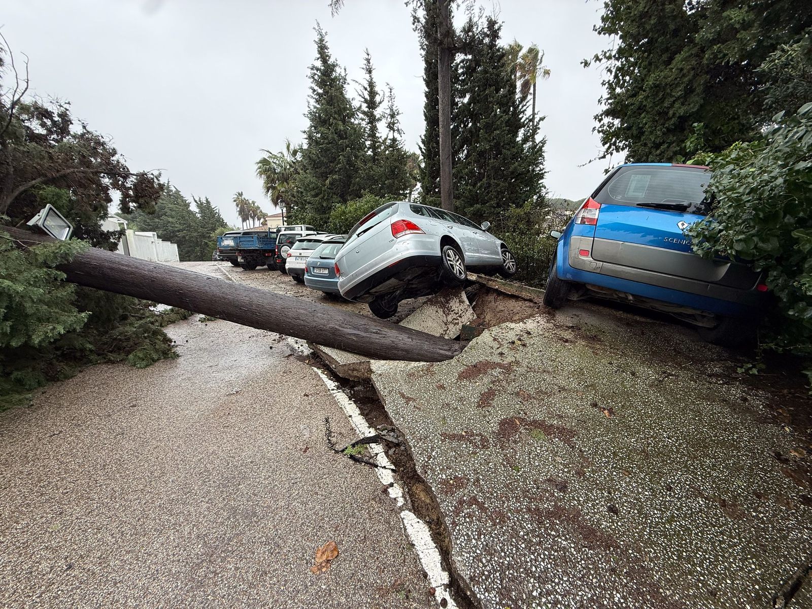 Fotos: Así amaneció el Campo de Gibraltar tras el paso de la borrasca Leonardo
