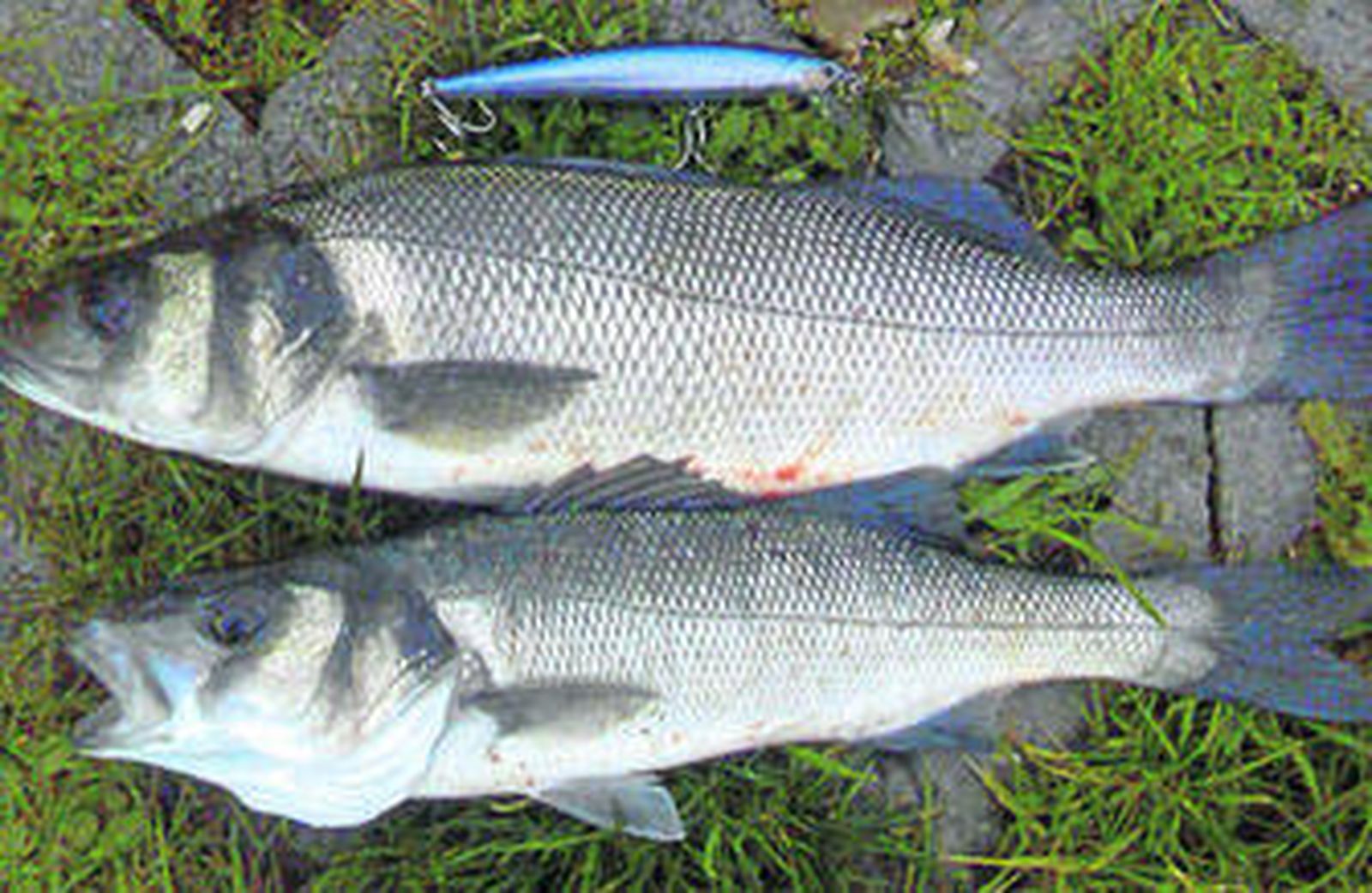 Una velada deportiva a orilla de las Amoladeras