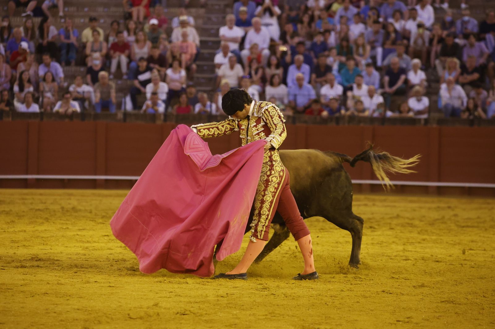 Las imágenes de la novillada en la Maestranza