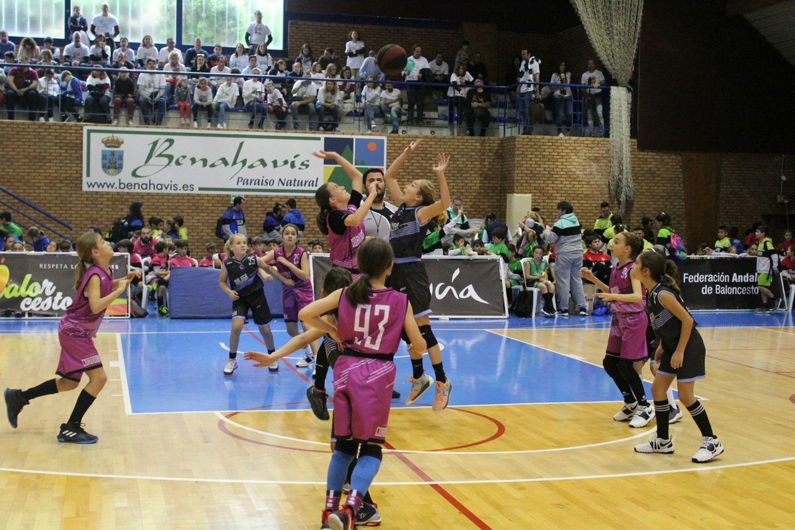 La V Fiesta Preminibásket en Benahavís, en fotos.