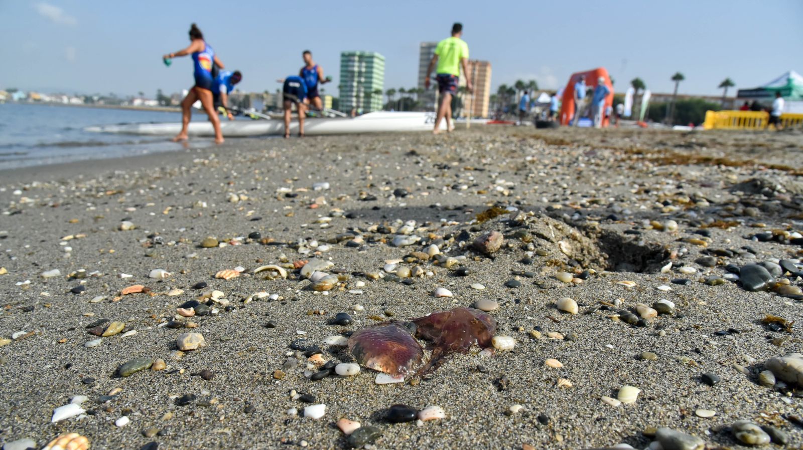 Las fotos del Campeonato de Remo en La Línea