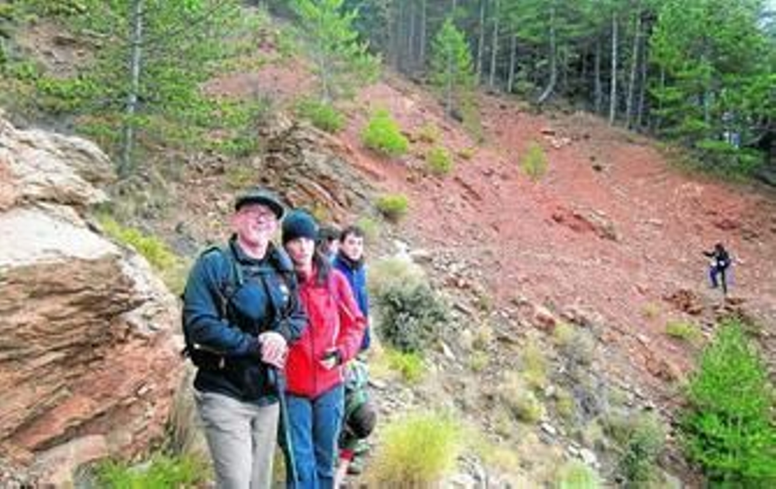 Paterna, castañar eterno