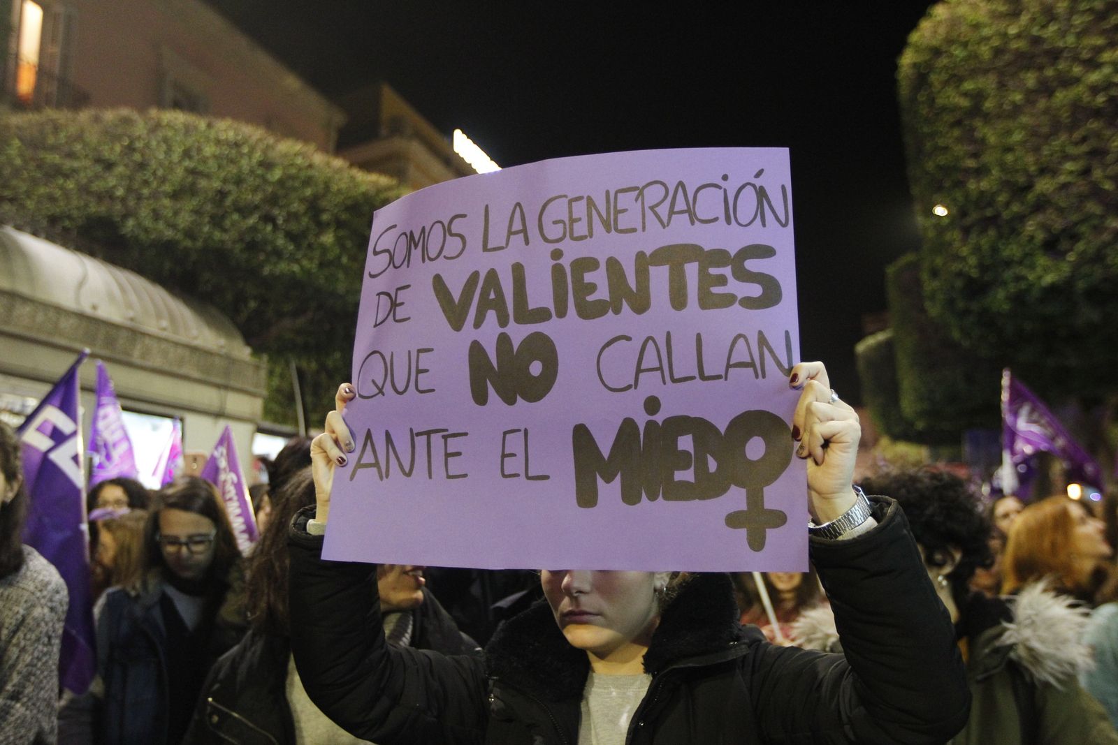 Manifestación Día Mundial contra la Violencia de Género. Almería