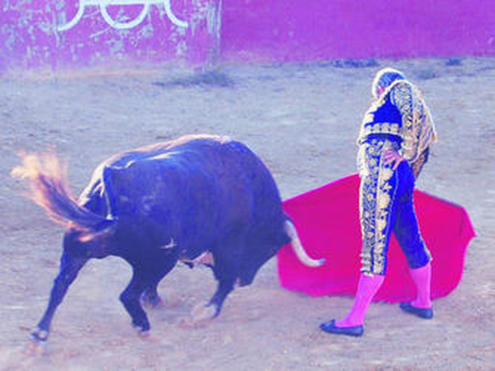 José Luis Galloso, el pasado jueves, en la ganadería de Osborne.