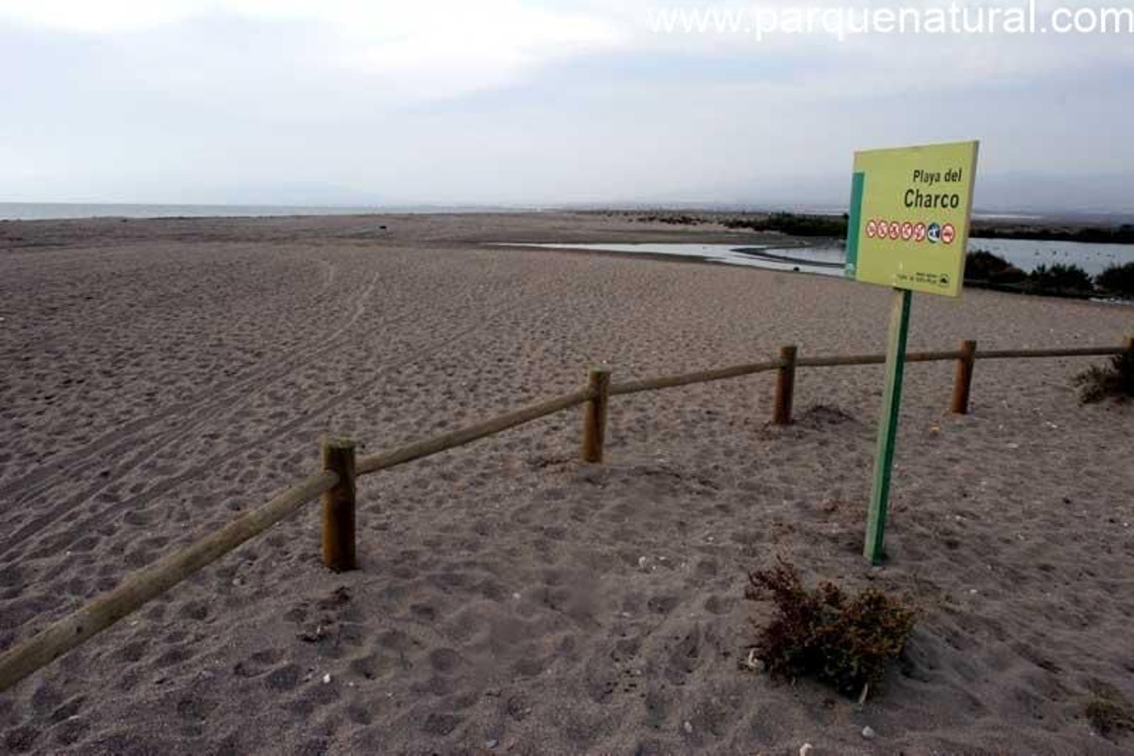 Plya del Charco.