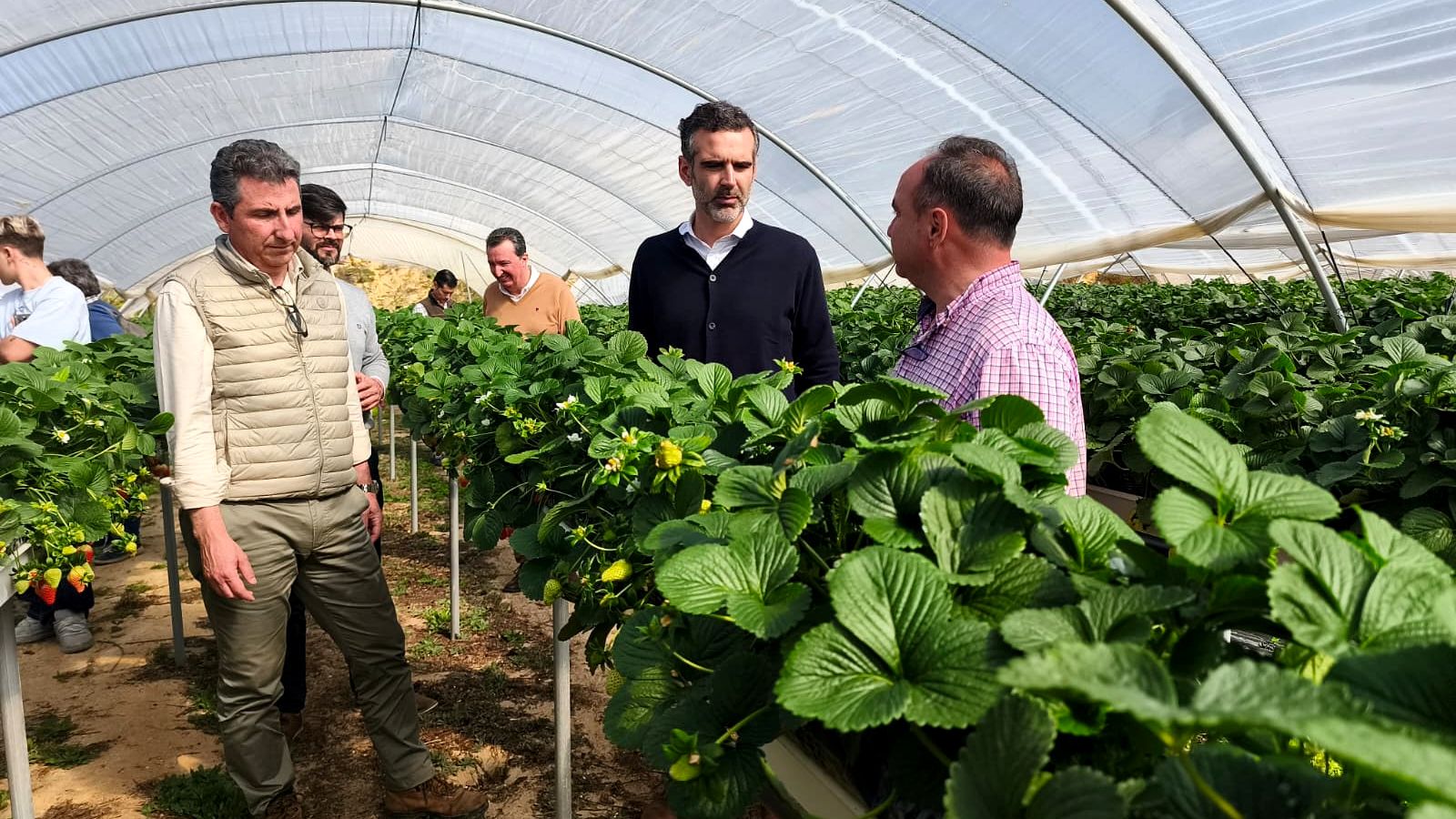 El consejero de Agricultura, Ramón Fernández-Pacheco, durante su visita a una finca agrícola en Rociana del Condado.